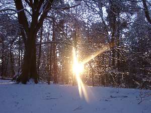 wald17